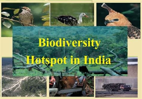 megadiverse countries upsc|Biodiversity of India, Biodiversity Hotspots of India .